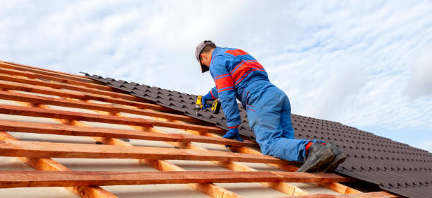 Best Rubber Roofing (EPDM, TPO)  in Mascotte, FL