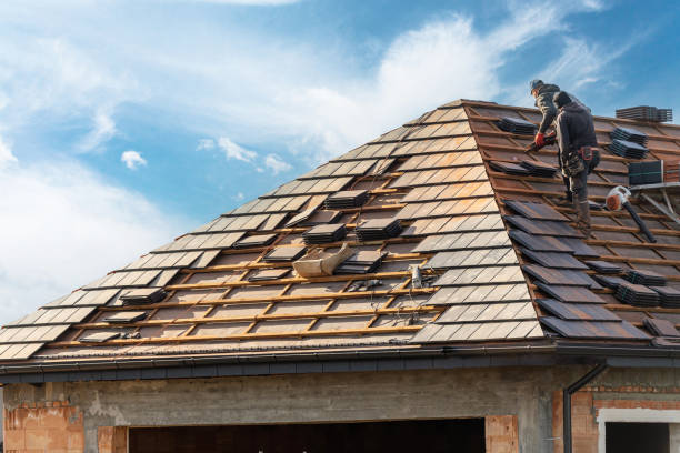 Best Cold Roofs  in Mascotte, FL