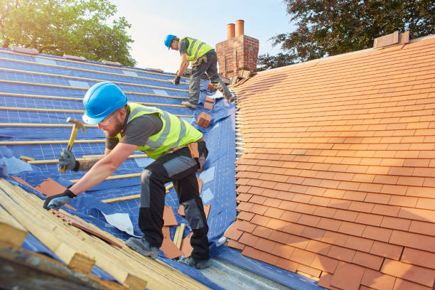 Best Metal Roofing Installation  in Mascotte, FL